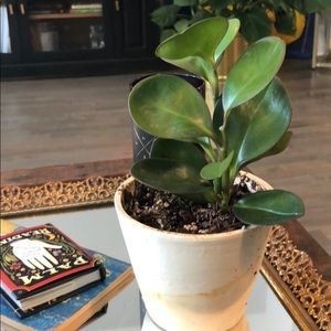 Meet your Posher, Danee